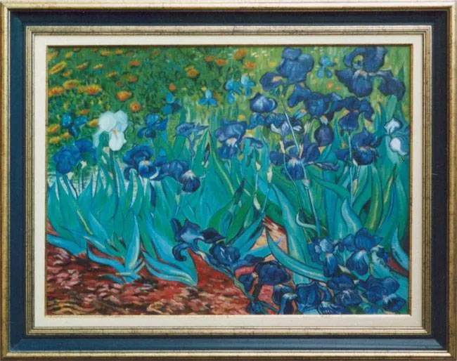 Les Iris de Vincent