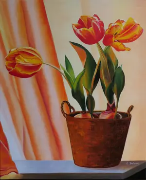 Pot de tulipes